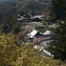2015ABC春季、長谷寺-5