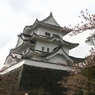 2015ABC春季、伊賀上野城