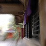 2015ABC春季、長谷寺-9