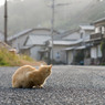 もやっとしたお天気