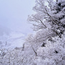 山寺(立石寺)の雪景色