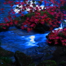 大滝渓谷2009④