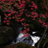 大滝渓谷2009⑤