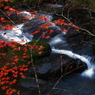 大滝渓谷2009⑥
