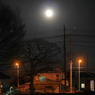 写真句：宵の月：NTW196