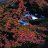 大滝渓谷2009⑯