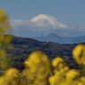 吾妻山公園_11