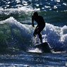 Surfer