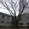 R0011955