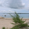 沖縄2006