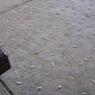 沖縄2007