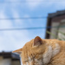 スヤスヤ