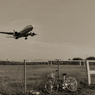 DSC00456-Edit-2