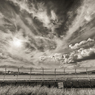 DSC_8924-Edit