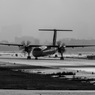 DSC_8060