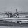 DSC_8060-Edit