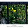 Film Vol.02