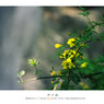 Film Vol.02