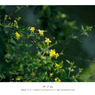 Film Vol.02