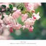 Film Vol.02