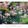 Film Vol.02