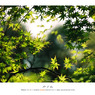 Film Vol.02
