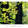 Film Vol.02