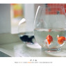 Film Vol.02