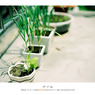 Film Vol.02