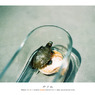 Film Vol.02