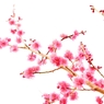 花ぞ昔の　香ににほひける・・・