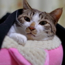 寒いっす。