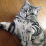 ミック 2013-07-07 10.50.59