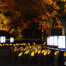 竹灯篭と紅葉
