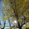 IMGP8636