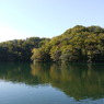 越口の池