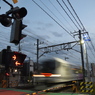 山から海へ（再掲）