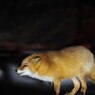 見てない所では笑ってた？