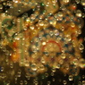 Luce d' infinito
