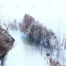 水のある風景 63