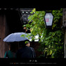 5月、烏鎮
