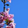 晴れた日に、、、。