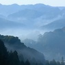 古都秋月の霧