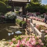 花の寺