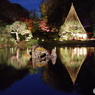 六義園ﾗｲﾄｱｯﾌﾟ池3