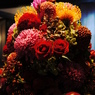 山手西洋館　Ｈａｐｐｙ　Ｈａｌｌｏｗｅｅｎ