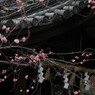 春３