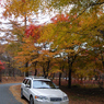 車と紅葉