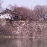 P1065172