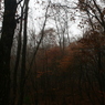 _MG_0025